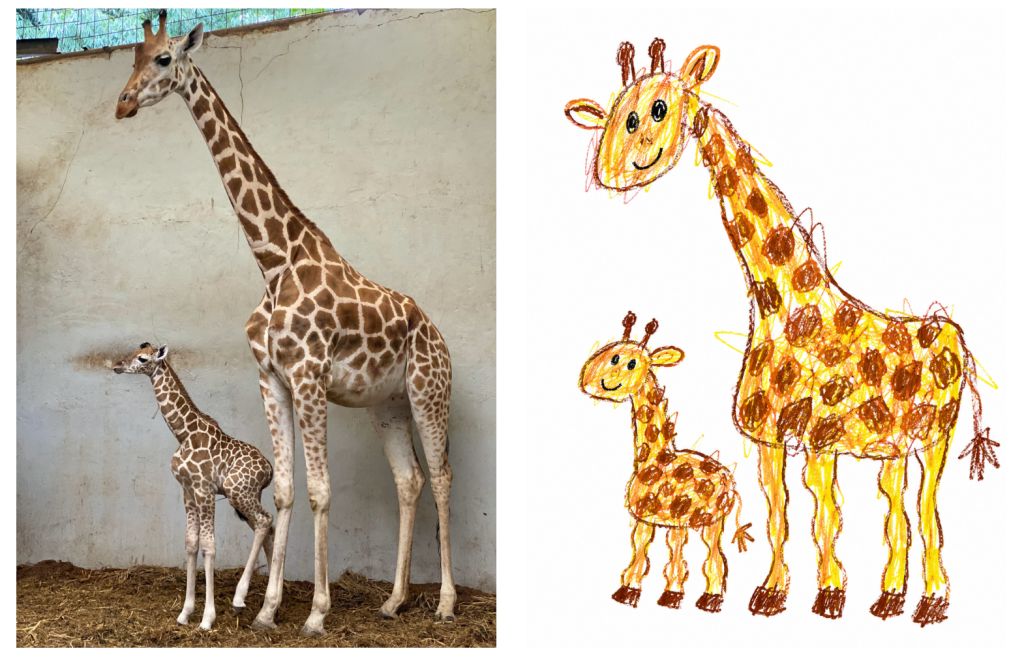 Cute crayon art of a giraffe and it's calf
